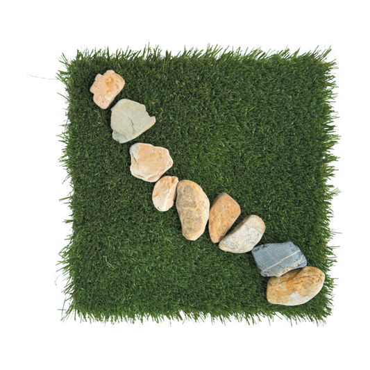 Lawn & Landscape Turf